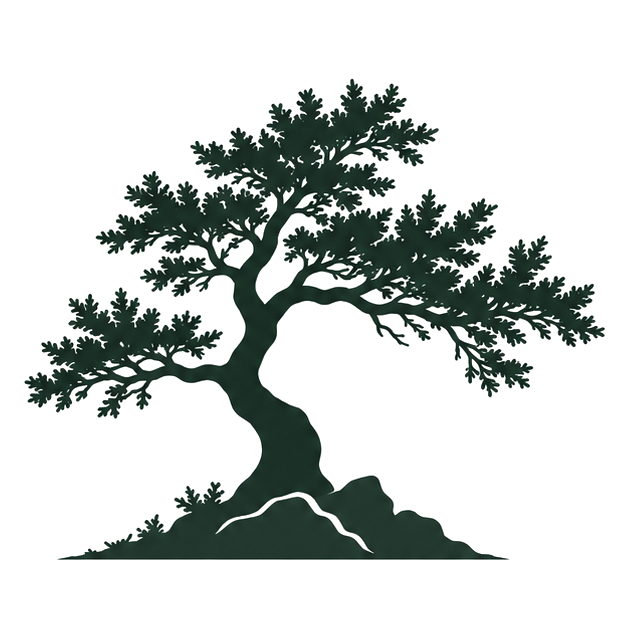 Juniper Venture Studio logo